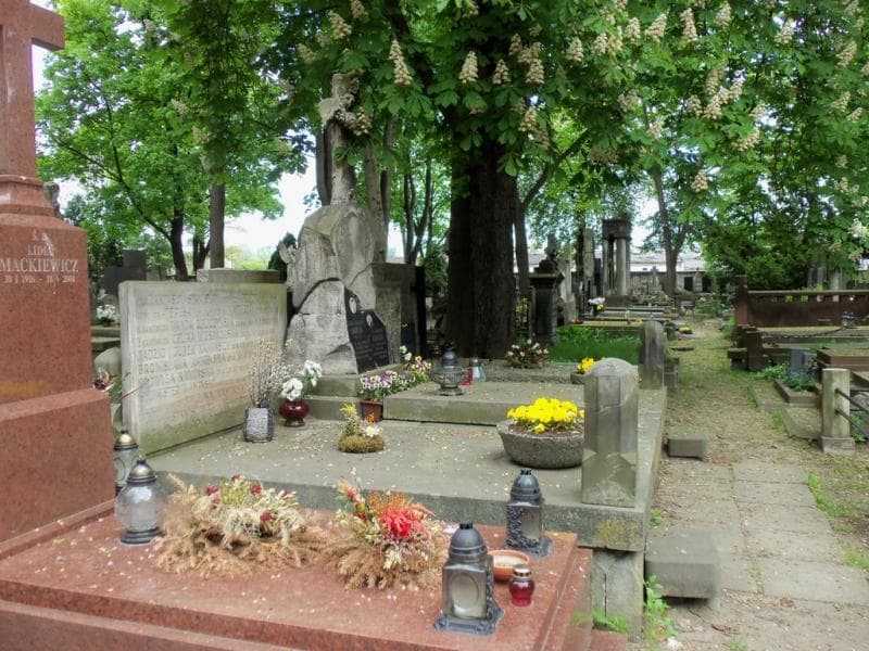 Zdjęcie grobu Stefania Lerch (1)