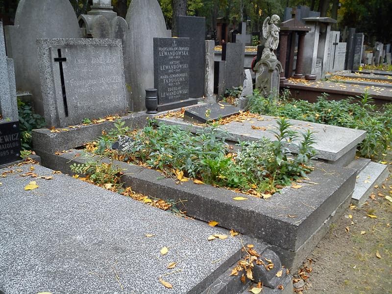 Zdjęcie grobu: Tadeusz Janeczek