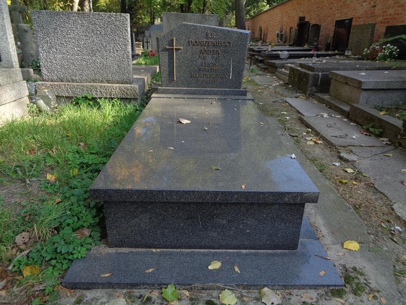 Zdjęcie grobu Władysława Dobrzeniecka (1)