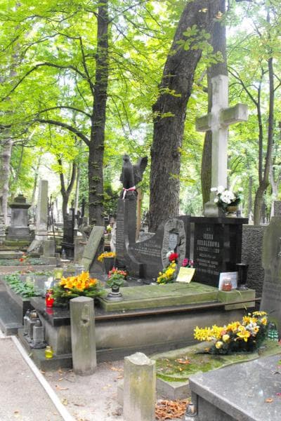 Zdjęcie grobu Janina Karolina Krzyżanowska (1)