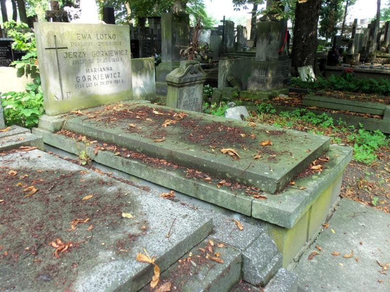 Zdjęcie grobu Ewa Lotko (2)