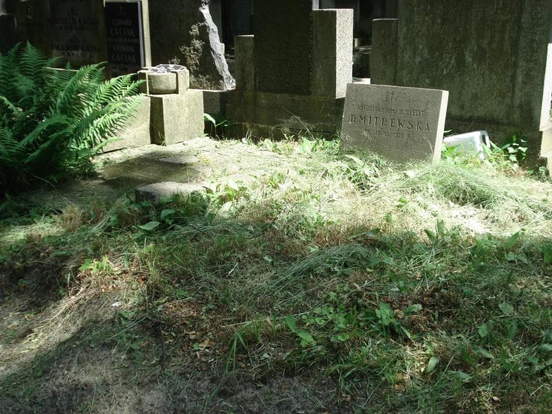 Zdjęcie grobu Antonina Dmitrewska (1)