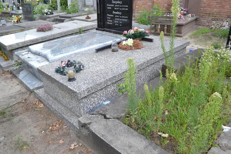Zdjęcie grobu: Wandzia Nawrocka