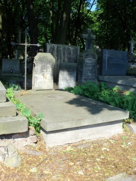 Zdjęcie grobu Feliks Hirsch (1)
