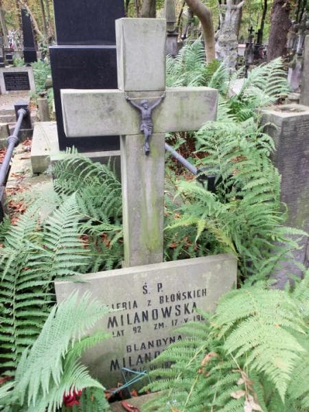 Zdjęcie grobu Blandyna Milanowska (2)