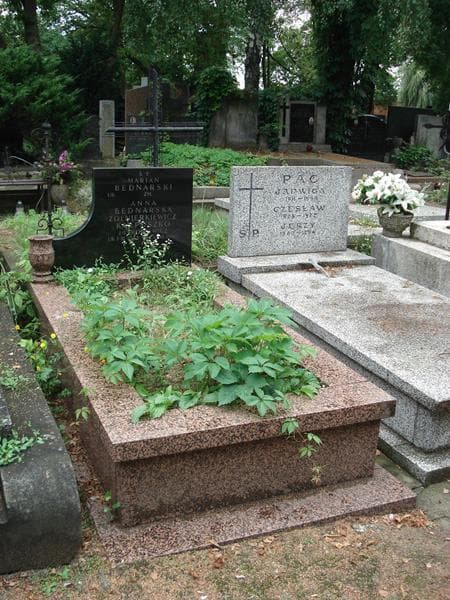 Zdjęcie grobu Anna Bednarska-Zołnierkiewicz (1)