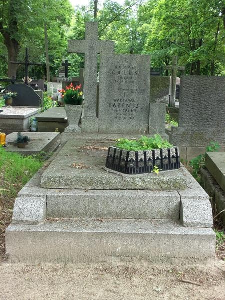 Zdjęcie grobu: Roman Całus