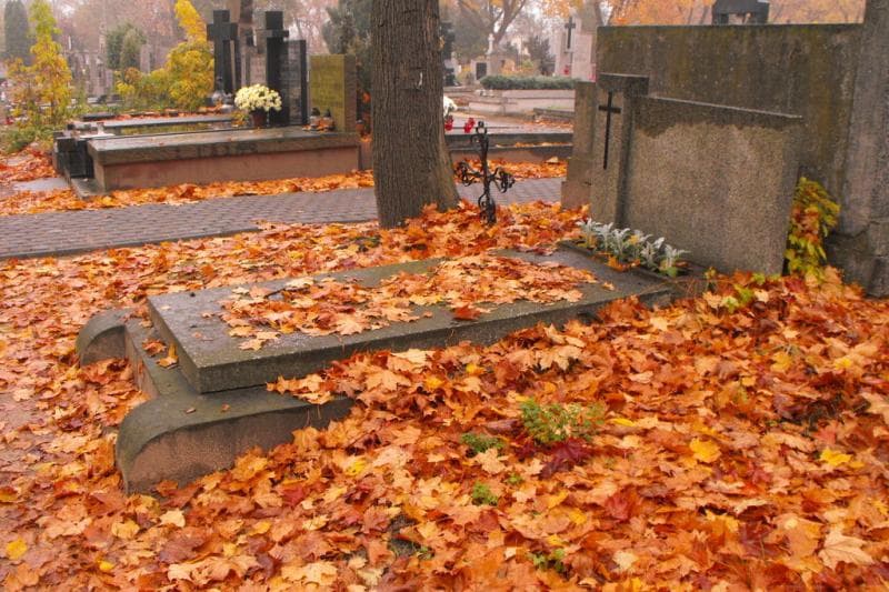 Zdjęcie grobu Aniela Błońska (1)