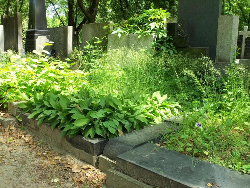 Zdjęcie grobu Witold Sławiński (1)