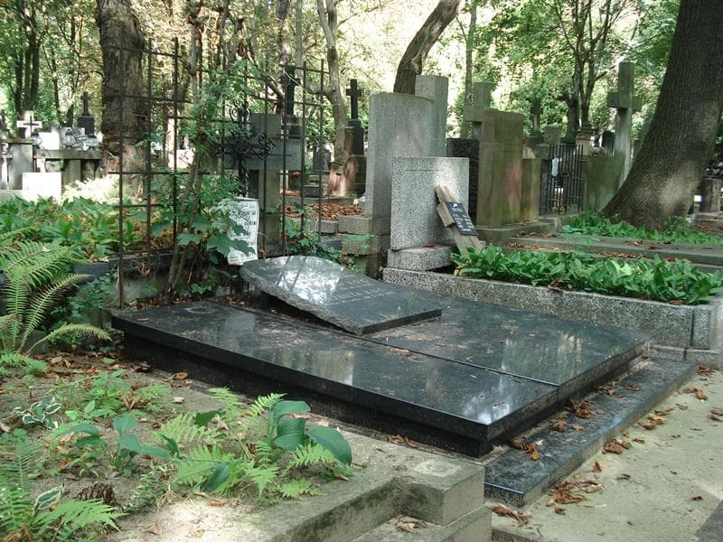 Zdjęcie grobu Marian Górski (1)