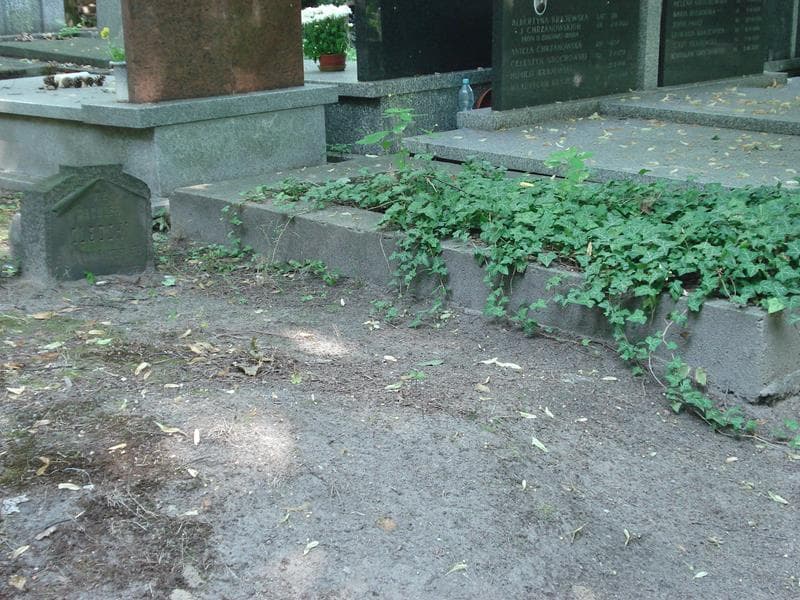 Zdjęcie grobu Waculek Olędzki (1)