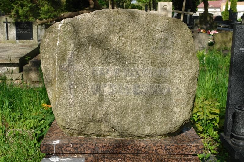 Zdjęcie grobu Wołłejko (2)