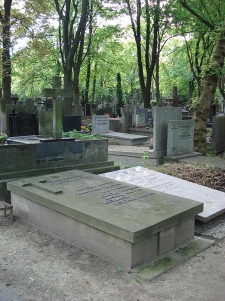 Zdjęcie grobu Michałek Betcher (2)
