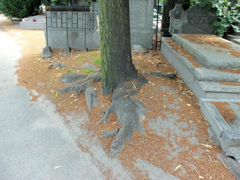 Zdjęcie grobu: Pole Grobowe