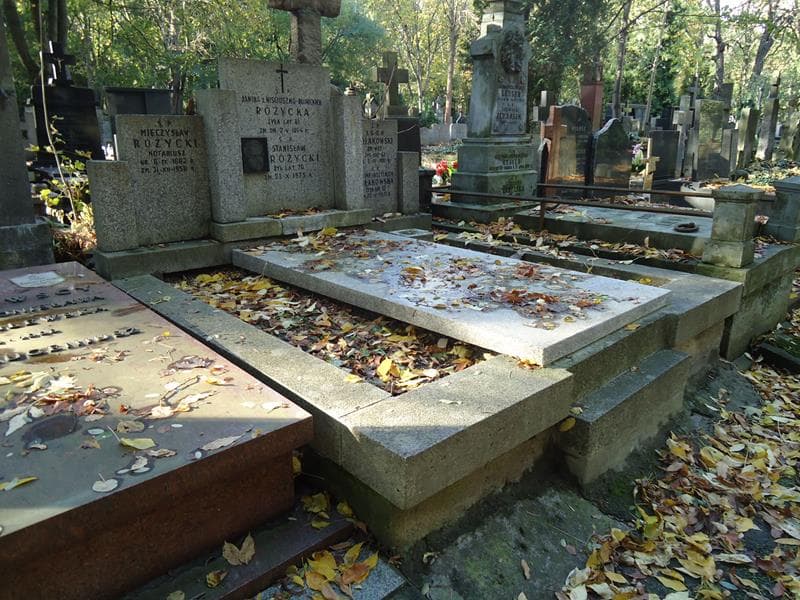 Zdjęcie grobu Leon Kołakowski (1)