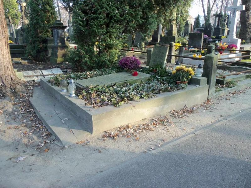 Zdjęcie grobu Halina Krzyżanowska (1)