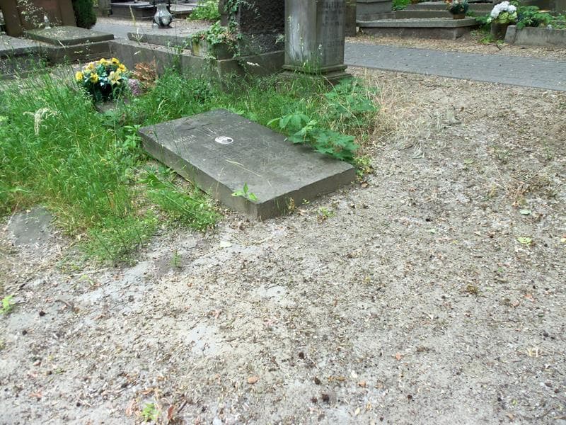 Zdjęcie grobu Adam Gąsiewski (1)