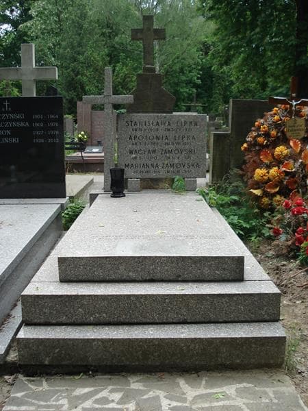 Zdjęcie grobu: Stanisława Lipka