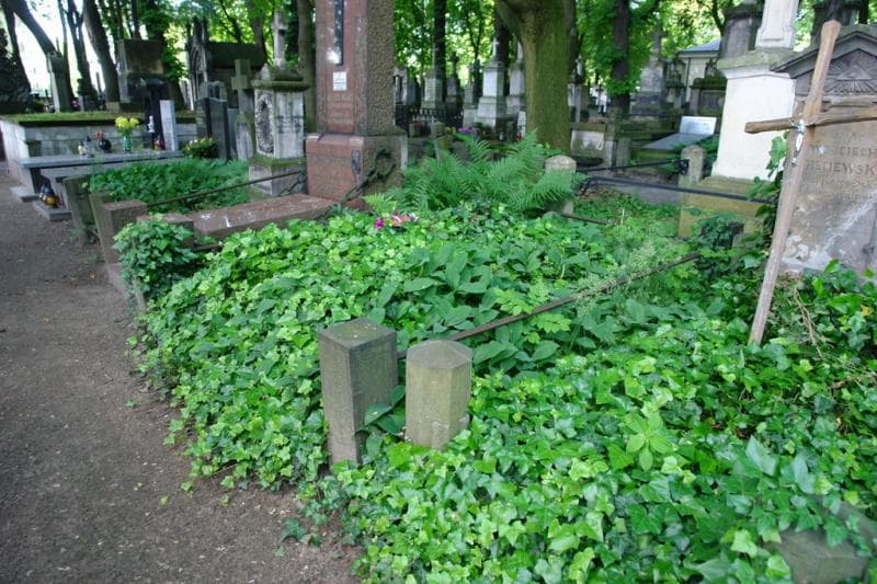 Zdjęcie grobu: Schonwalderowie