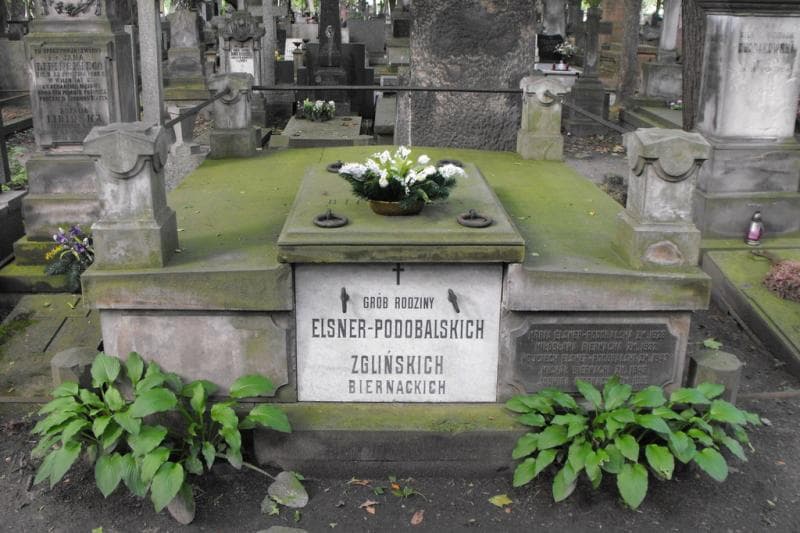 Zdjęcie grobu Michał Biernacki (1)