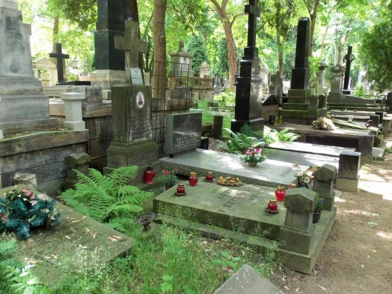 Zdjęcie grobu Zofia Borówko (1)