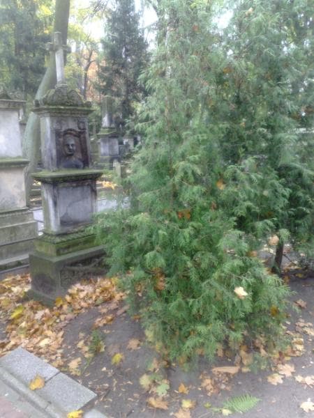 Zdjęcie grobu: Felix Rychowiecki