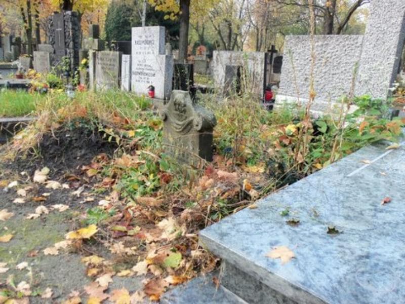Zdjęcie grobu Florentyna Żółkowska (1)