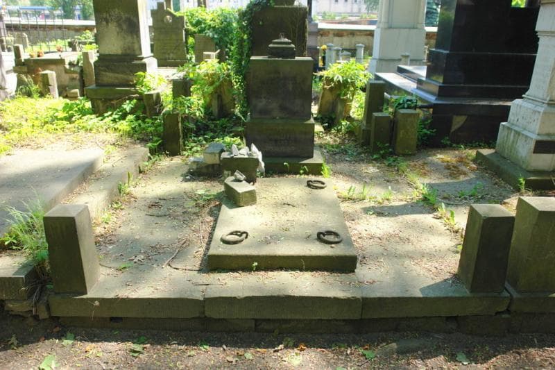 Zdjęcie grobu Juliusz Landie (1)