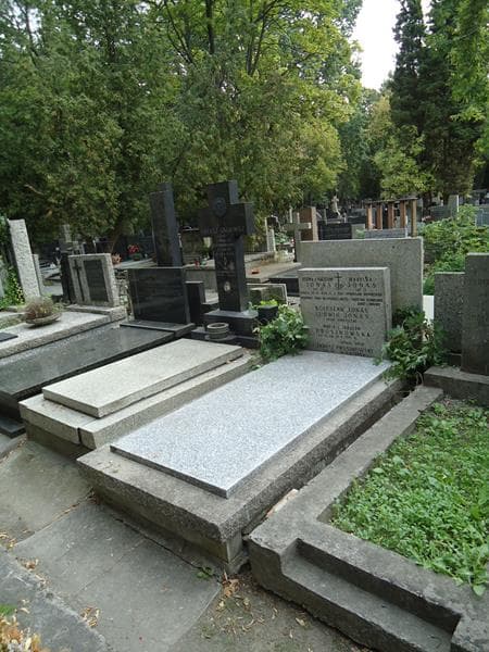 Zdjęcie grobu Bolesław Jonas (1)