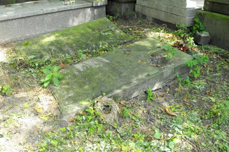 Zdjęcie grobu Julja Badowska (1)