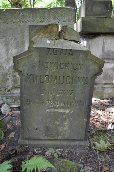 Zdjęcie grobu Zofja Kołomijcowa (2)