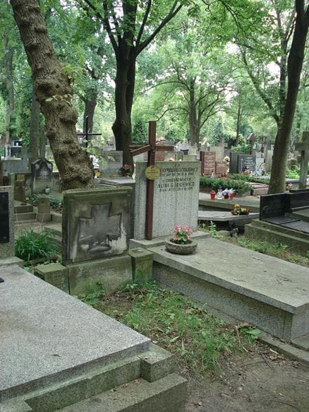 Zdjęcie grobu Anna Grabowska (1)