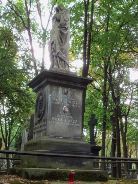 Zdjęcie grobu Zofia Goliszewska (2)