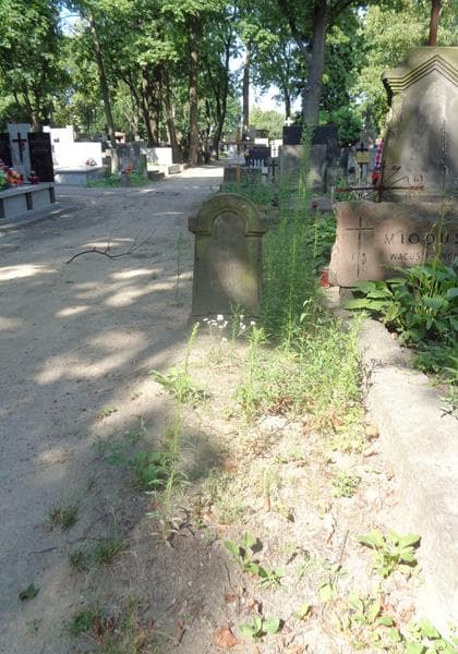 Zdjęcie grobu Michał Harasimowicz (1)