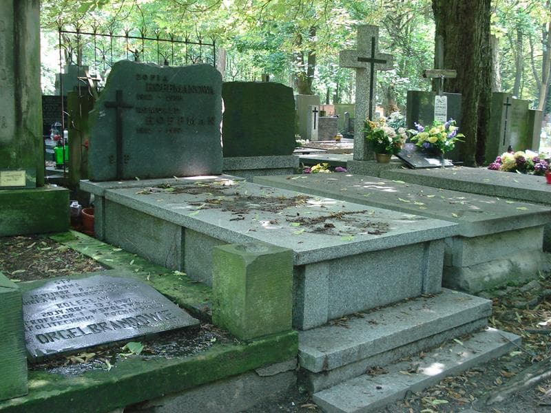Zdjęcie grobu Romuald Hoffman (1)