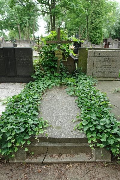 Zdjęcie grobu Marian Mieszkowski (1)