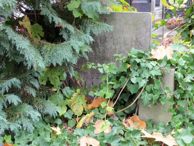 Zdjęcie grobu Józef Jemiołek (2)