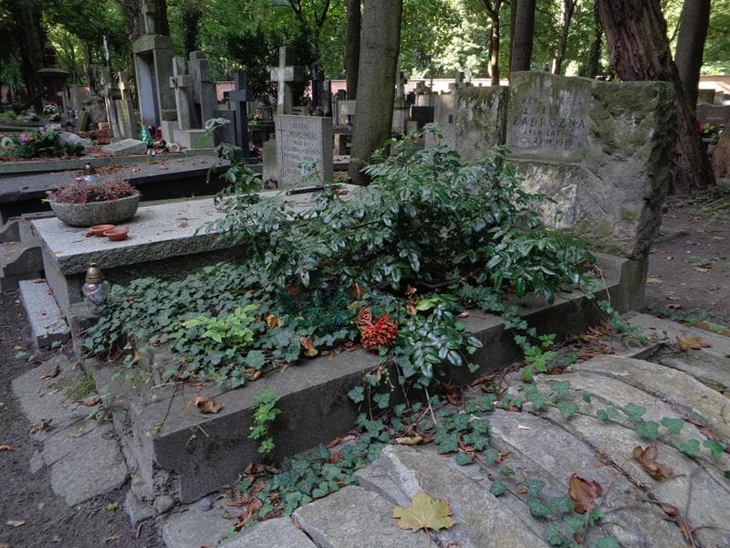 Zdjęcie grobu: Wanda Maria Zadrożna