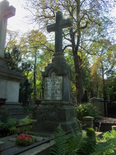 Zdjęcie grobu Aleksander Machnicki (2)