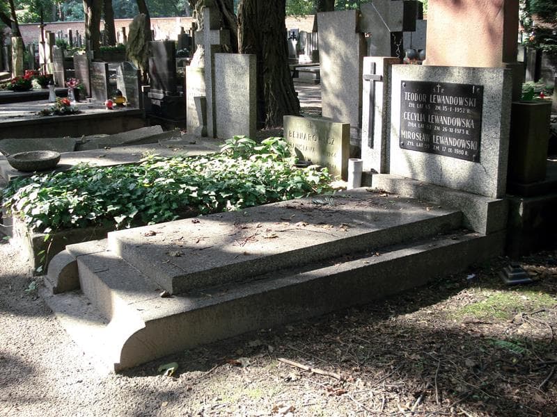 Zdjęcie grobu: Cecylia Lewandowska