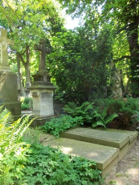 Zdjęcie grobu Andrzej Jaroszewski (1)