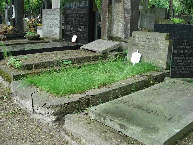 Zdjęcie grobu: Jadwiga Główinkowska