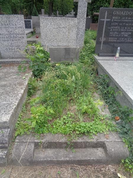 Zdjęcie grobu Bolesław Szczęsny (1)
