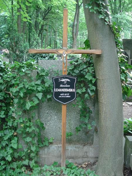Zdjęcie grobu Stanisława Lewandowska (1)