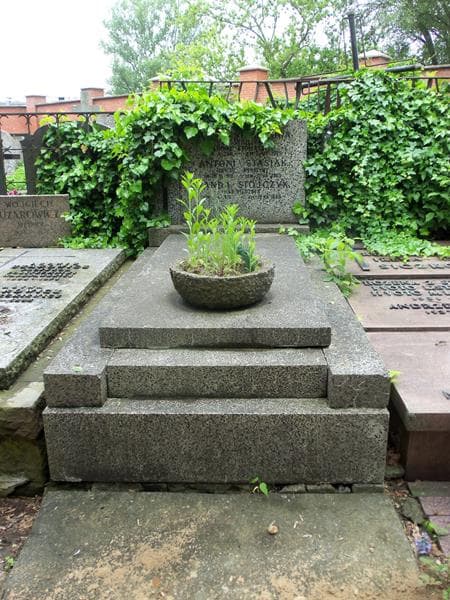 Zdjęcie grobu: Wanda Stojczyk