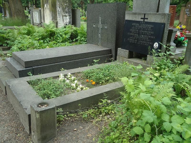 Zdjęcie grobu Stanisław Lewandowski (1)