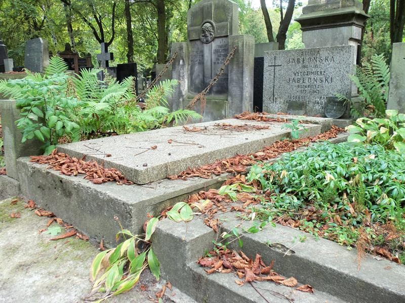 Zdjęcie grobu Alicja Jabłońska (1)