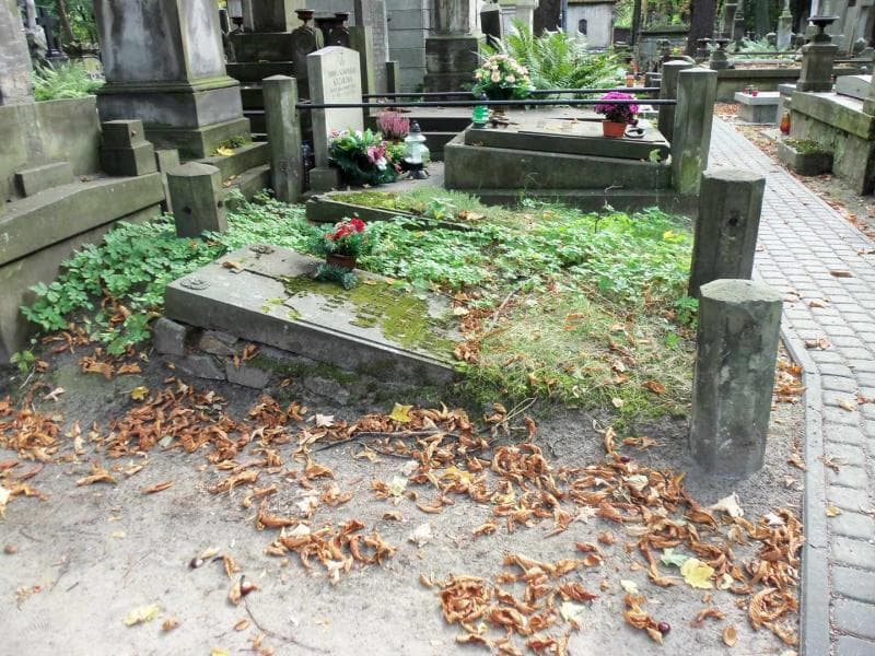Zdjęcie grobu Bertrand Carriere (1)