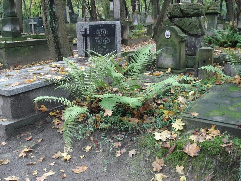 Zdjęcie grobu Klementyna Zawidzka (1)