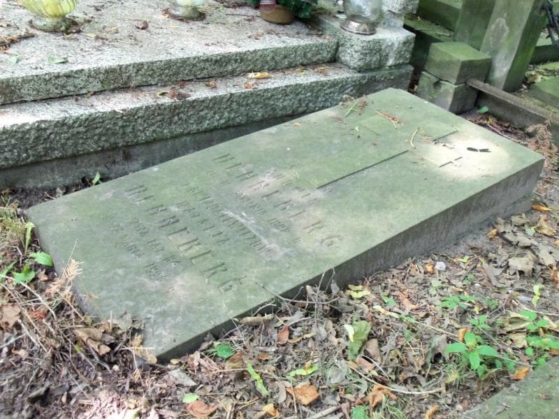 Zdjęcie grobu Ludwik Henneberg (2)